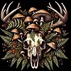 Slavczyc's avatar