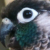 SleepyBirdi's avatar