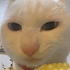 Slimaczuszek's avatar
