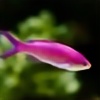 smallgoodfish's avatar