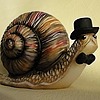 snail-in-a-hat's avatar
