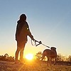 SnailsLoveTea's avatar
