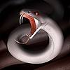 Snake-YuMa's avatar