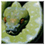 SnakeCharm's avatar