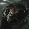 SnakeMaster20's avatar