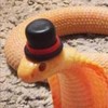 SnakeWithHat's avatar