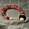 snakey765's avatar