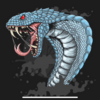 snappingbiper's avatar