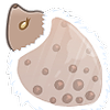Snoodle-Tea's avatar