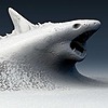 Snow-Shark's avatar