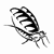 snowfly's avatar