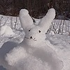 snowjoy's avatar