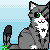 Snowleopard123's avatar