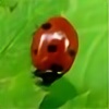 SnowyLadybug's avatar