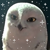 Snowyy-Neko's avatar