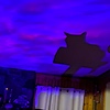 Softlystrangesociety's avatar