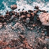 SoftyDreams's avatar