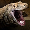 SomnusArtz's avatar