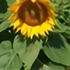 Sonflowers's avatar