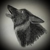 SongoftheBlackWolf's avatar