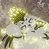 Sora7713's avatar
