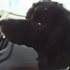 Soren1111's avatar