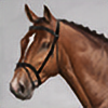 SouthernWindStables's avatar