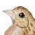 soysparrow's avatar