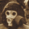 Spectral-Apparition's avatar