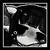 SpewSpewSpewSpewSpew's avatar