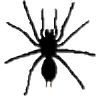 spider071's avatar