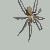 Spiderdust's avatar