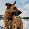 SpikeArt109's avatar