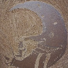Spinnren's avatar