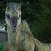 spinoraptor49's avatar