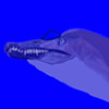 Spinosaurus7777's avatar