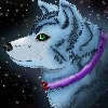 Spirit-Wolf99's avatar