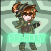 splnkey87's avatar