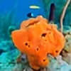 spongeboy7000's avatar