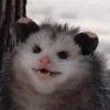 SpookyPosum's avatar