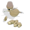 sporegrooby's avatar