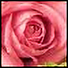 springrose1995's avatar