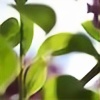 SpringShoot's avatar