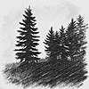 sprucehands's avatar