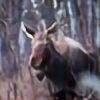 spwasilla's avatar