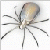 squama's avatar