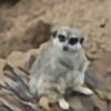Squiggles1053's avatar