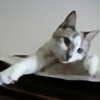 squinty-eyed-cat's avatar