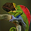 squishygecko's avatar