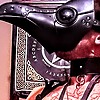 Srpnt3ternal13's avatar